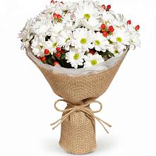 Букет цветов из:  Хризантемы #REPLACE_PRED# Новый Сад