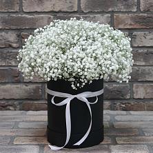 Цветочная композиция из Гипсофила в шляпной коробке в Новый Сад